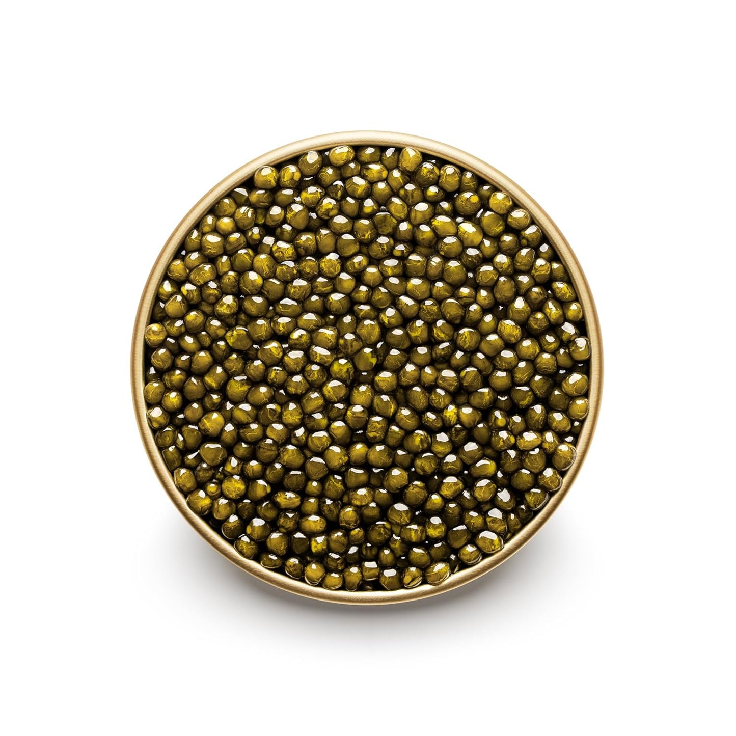 PREMIUM OSETRA Acipenser Gueldenstaedtii