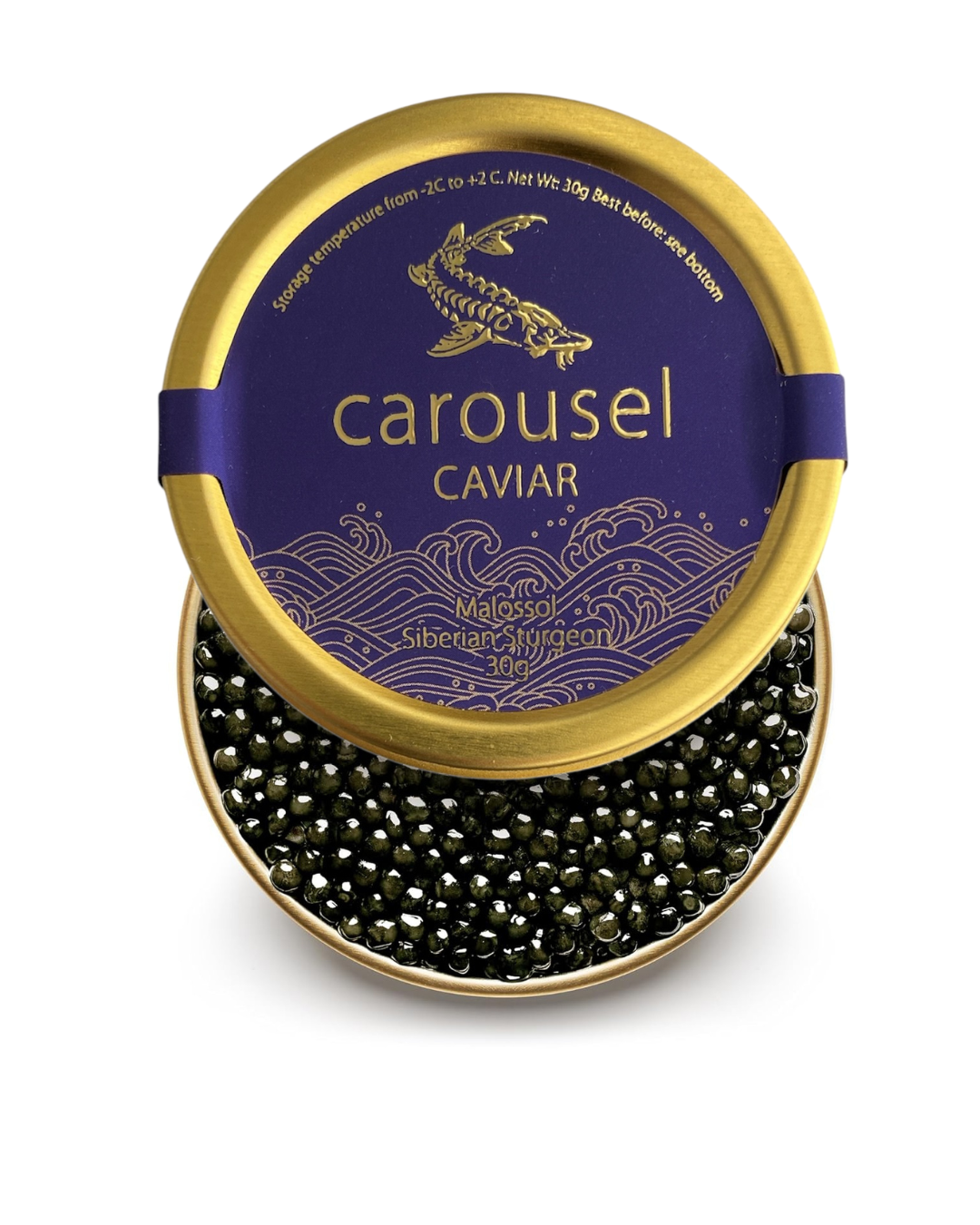 PREMIUM OSETRA Acipenser Gueldenstaedtii