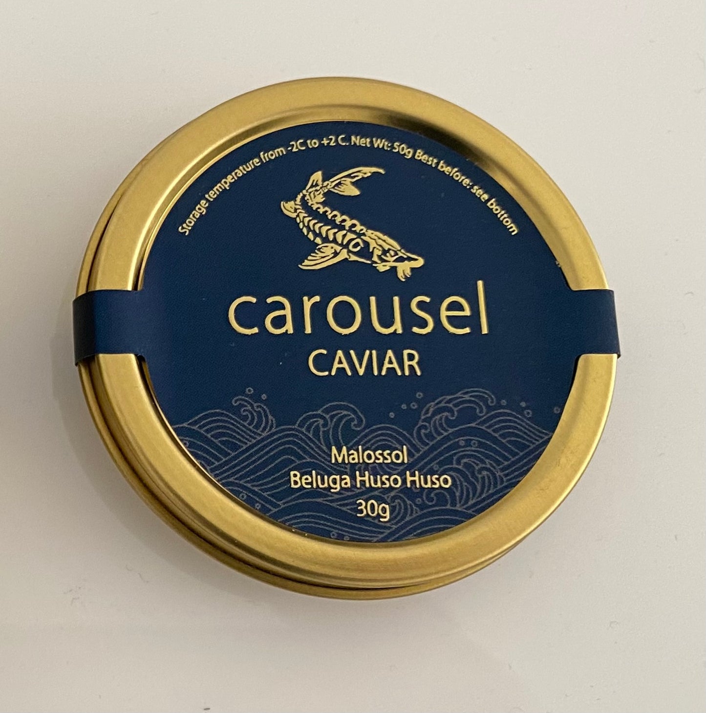 БЕЛУГА - HUSO HUSO